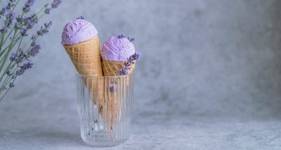 Levandulová zmrzlina