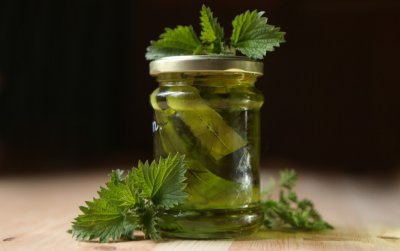 Domácí kopřivový sirup