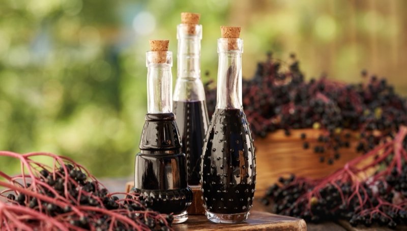 Sirup z plodů černého bezu