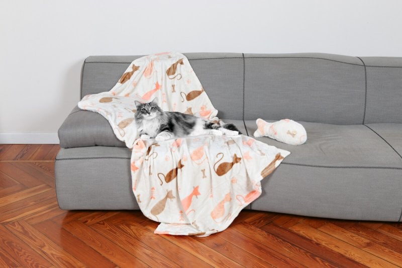 Vesna Dárkový set pro kočku RYBA