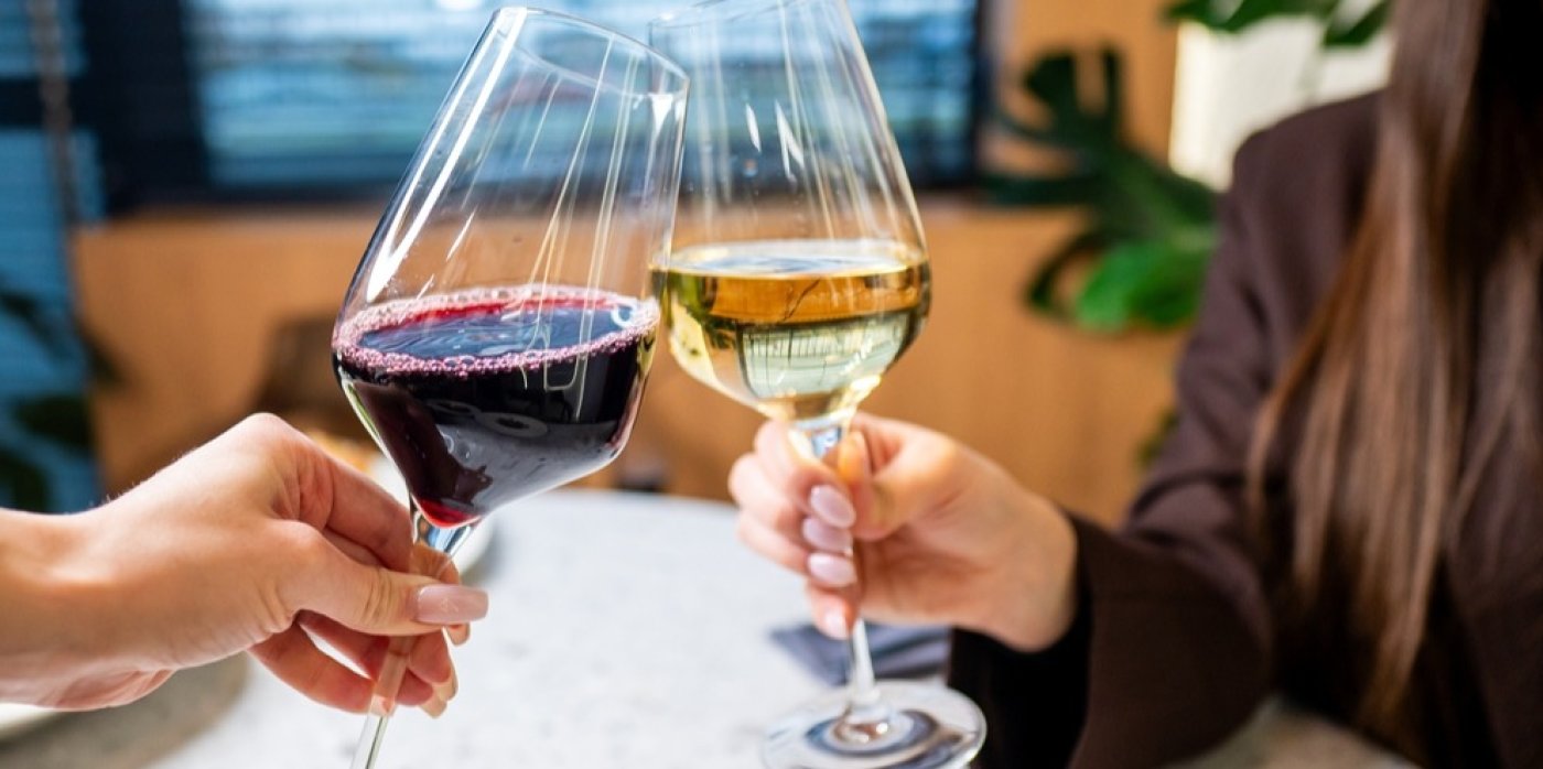 Dvě ženy si připíjí červeným a bílým vínem