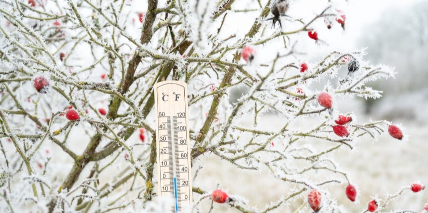 Teploměr a zmrzlé šípky