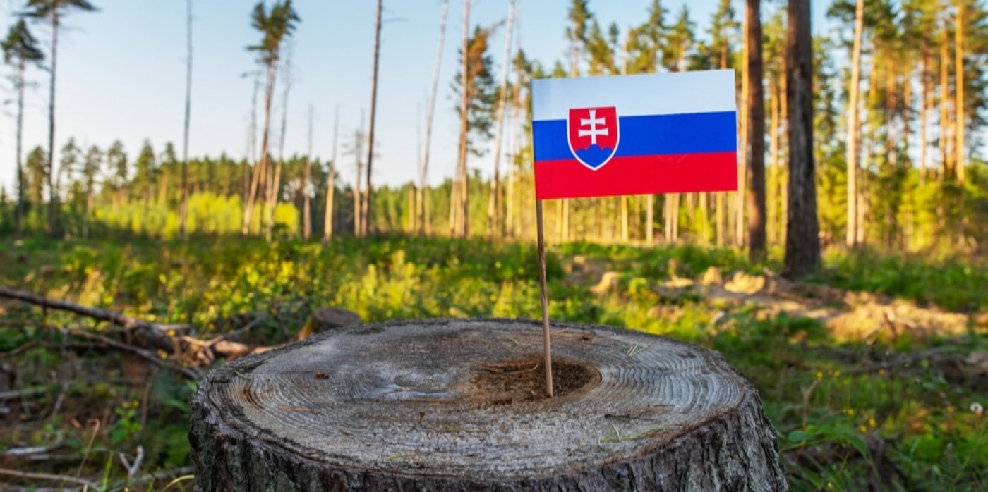 Slovenská vlajka na pařezu