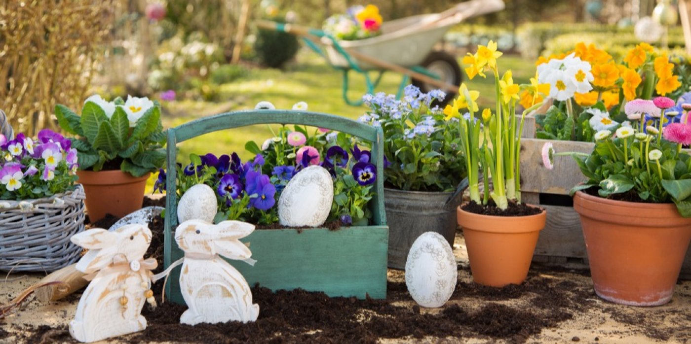 Jarní květiny a dekorace