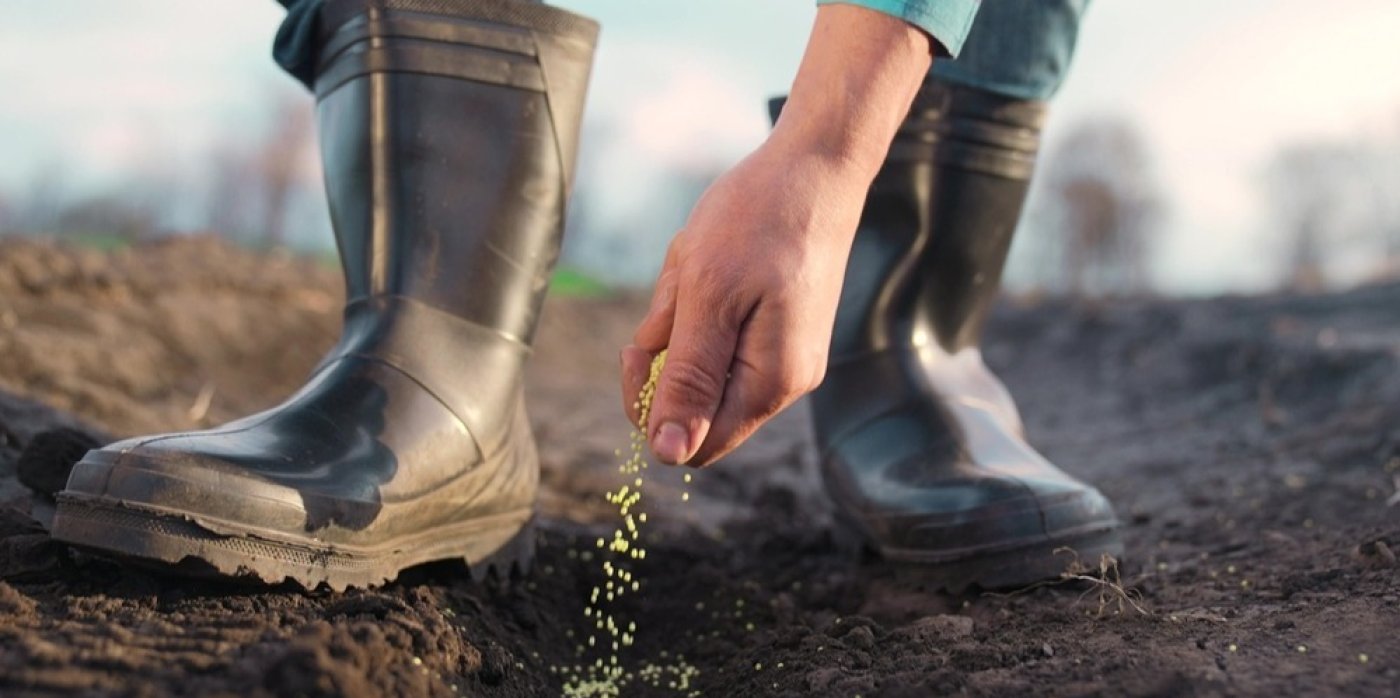 Muž zasévá do hlíny